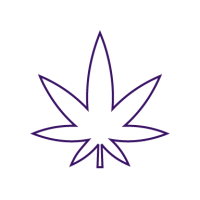 purple icon of 5 pointed marijuana leaf